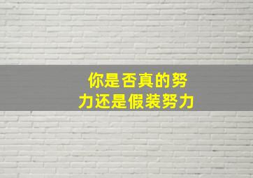 你是否真的努力还是假装努力