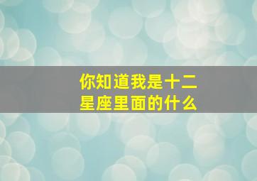 你知道我是十二星座里面的什么