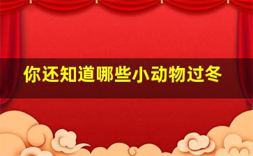 你还知道哪些小动物过冬