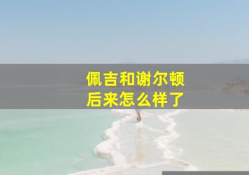 佩吉和谢尔顿后来怎么样了