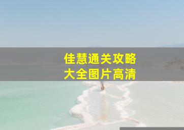 佳慧通关攻略大全图片高清