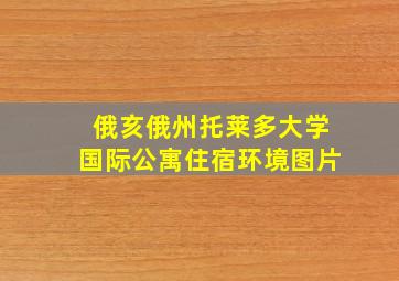 俄亥俄州托莱多大学国际公寓住宿环境图片