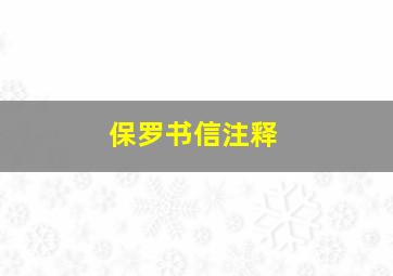 保罗书信注释