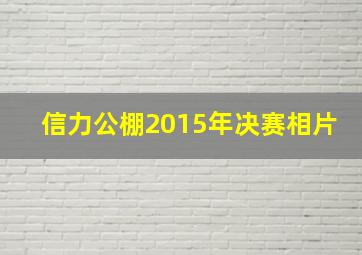 信力公棚2015年决赛相片