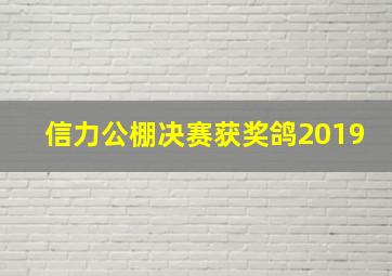 信力公棚决赛获奖鸽2019