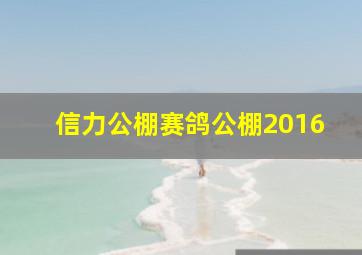 信力公棚赛鸽公棚2016