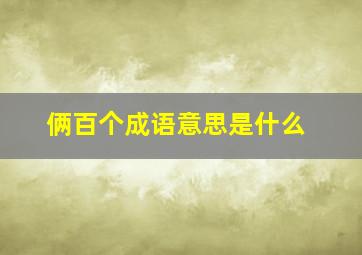 俩百个成语意思是什么