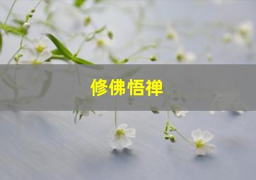 修佛悟禅