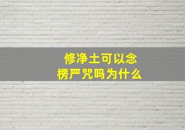 修净土可以念楞严咒吗为什么