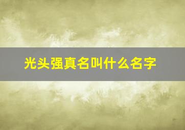 光头强真名叫什么名字