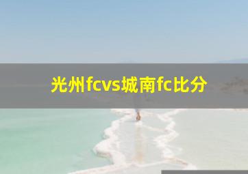 光州fcvs城南fc比分