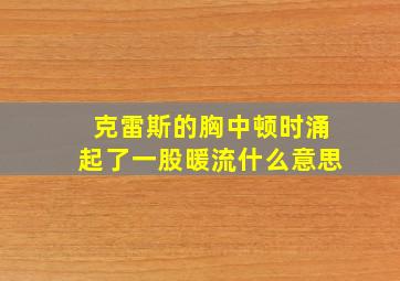 克雷斯的胸中顿时涌起了一股暖流什么意思