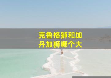 克鲁格狮和加丹加狮哪个大