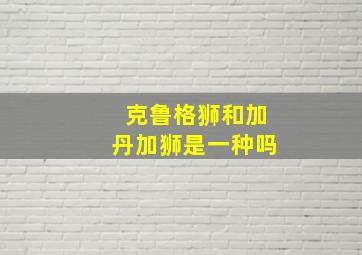 克鲁格狮和加丹加狮是一种吗