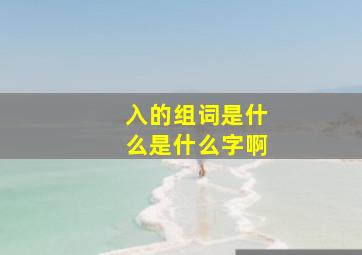 入的组词是什么是什么字啊