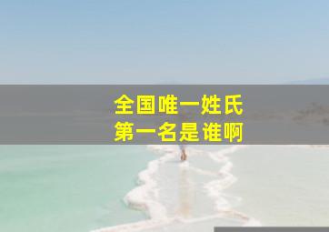 全国唯一姓氏第一名是谁啊