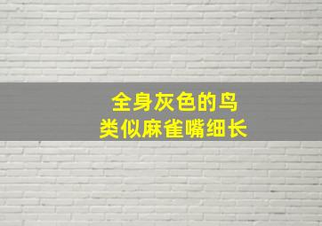 全身灰色的鸟类似麻雀嘴细长