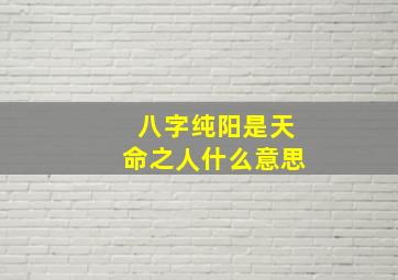 八字纯阳是天命之人什么意思