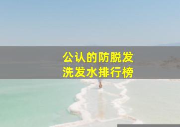 公认的防脱发洗发水排行榜