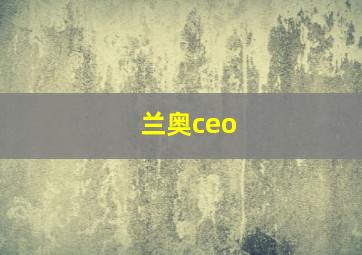 兰奥ceo