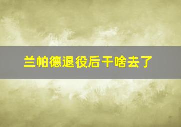 兰帕德退役后干啥去了