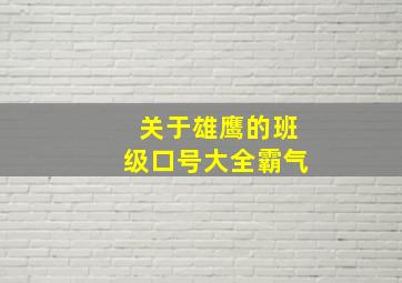 关于雄鹰的班级口号大全霸气