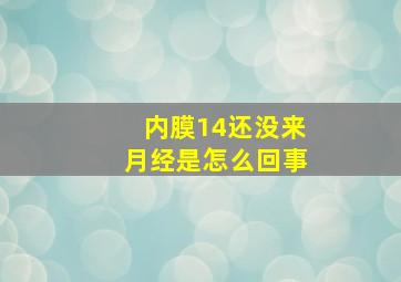 内膜14还没来月经是怎么回事