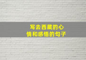 写去西藏的心情和感悟的句子