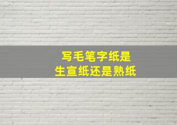 写毛笔字纸是生宣纸还是熟纸