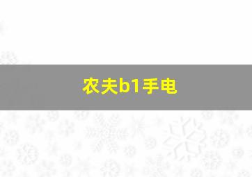 农夫b1手电