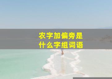 农字加偏旁是什么字组词语