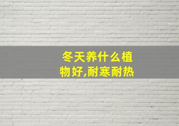 冬天养什么植物好,耐寒耐热