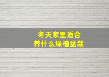 冬天家里适合养什么绿植盆栽