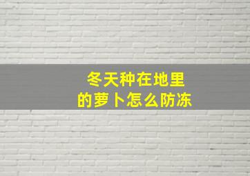 冬天种在地里的萝卜怎么防冻