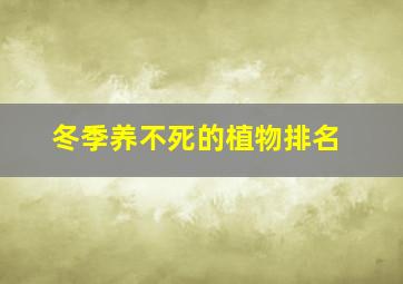 冬季养不死的植物排名