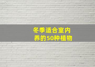 冬季适合室内养的50种植物