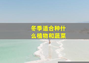 冬季适合种什么植物和蔬菜