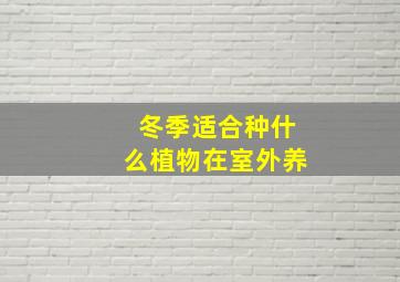 冬季适合种什么植物在室外养