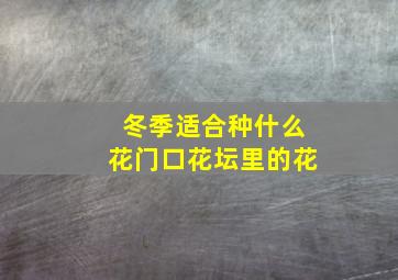 冬季适合种什么花门口花坛里的花