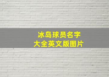 冰岛球员名字大全英文版图片