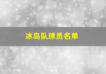 冰岛队球员名单