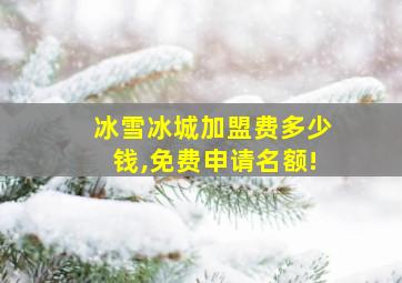 冰雪冰城加盟费多少钱,免费申请名额!