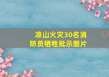 凉山火灾30名消防员牺牲批示图片