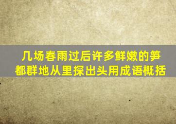 几场春雨过后许多鲜嫩的笋都群地从里探出头用成语概括