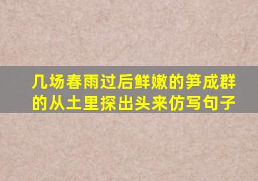 几场春雨过后鲜嫩的笋成群的从土里探出头来仿写句子