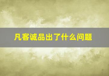 凡客诚品出了什么问题