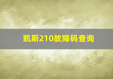 凯斯210故障码查询