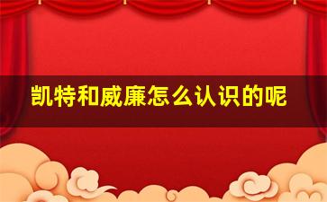 凯特和威廉怎么认识的呢