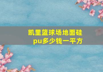 凯里篮球场地面硅pu多少钱一平方