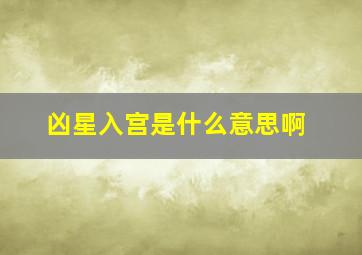 凶星入宫是什么意思啊